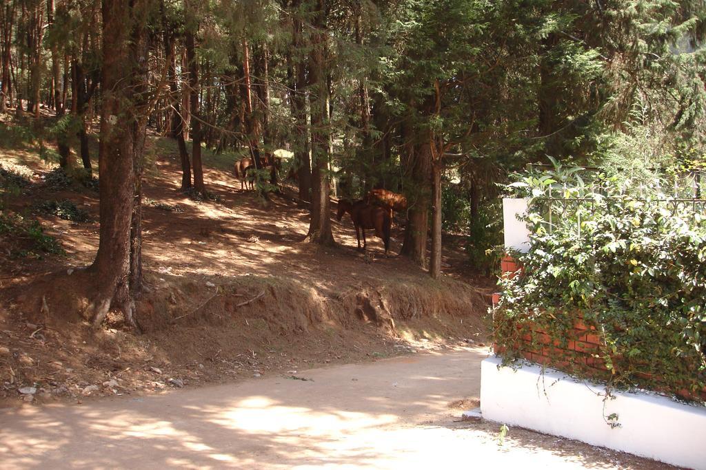 The Red House बिस्तर और नाश्ता 3*